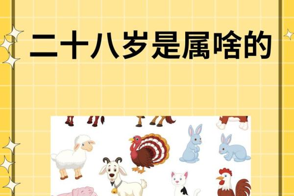 十二生肖:命运之谜,解读你的出生猪排命 十二生肖:命运之谜,解读你的出生猪排命