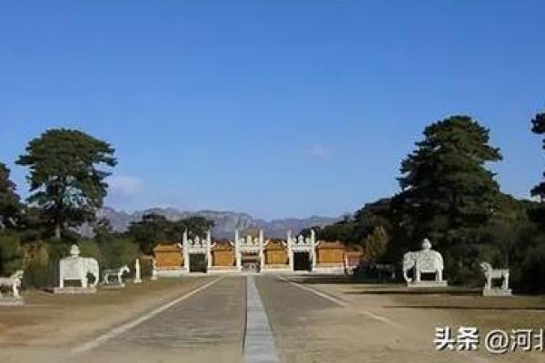 探索73出生者的生肖与命运之谜:让我们一起揭开命理的面纱! 探索73出生者的生肖与命运之谜:让我们一起揭开命理的面纱!