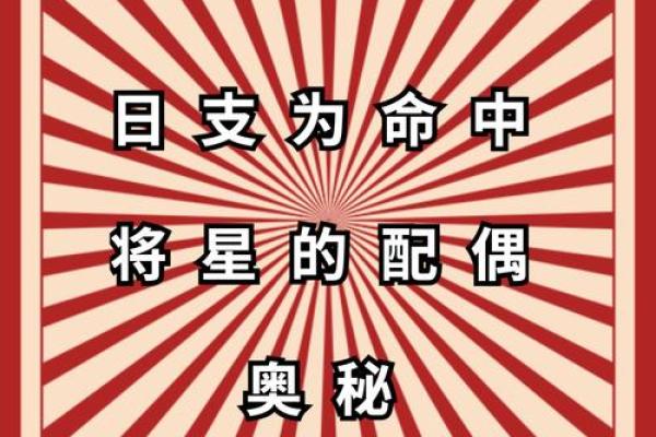 探索男命配偶的象征意义与命理之美 探索男命配偶的象征意义与命理之美