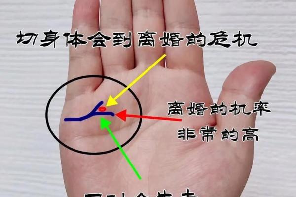 手相色泽红润:揭示你命运的秘密! 手相色泽红润:揭示你命运的秘密!