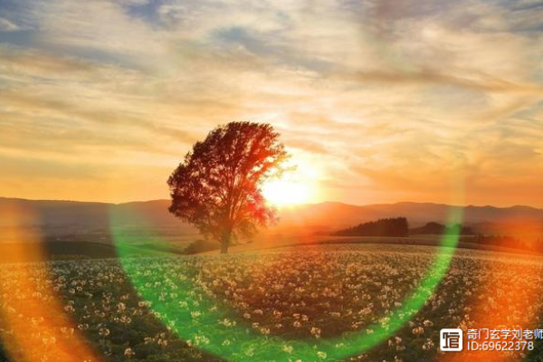 写命理情感缘分,探寻心灵深处的真爱密码 写命理情感缘分,探寻心灵深处的真爱密码