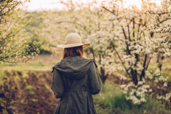 1973年出生的人命运解析:运势、性格与人生之路 1973年出生的人命运解析:运势、性格与人生之路