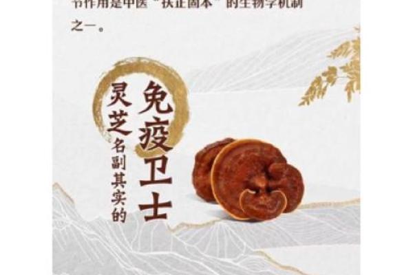 嗜糖如命,甜蜜背后隐藏的健康危机! 嗜糖如命,甜蜜背后隐藏的健康危机!