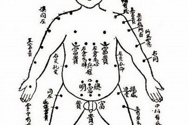 男性脚底红润之命运解析:揭示健康与运势的神秘联系 男性脚底红润之命运解析:揭示健康与运势的神秘联系