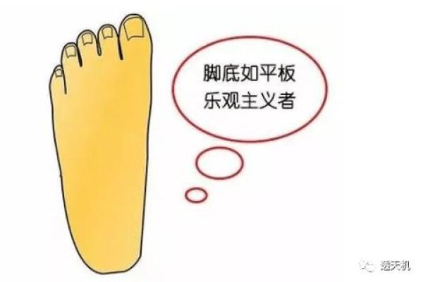 男性脚底红润之命运解析:揭示健康与运势的神秘联系 男性脚底红润之命运解析:揭示健康与运势的神秘联系