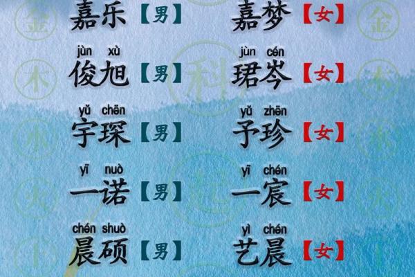 2023年兔宝宝命运解读:属兔孩子的未来发展与性格特点 2023年兔宝宝命运解读:属兔孩子的未来发展与性格特点