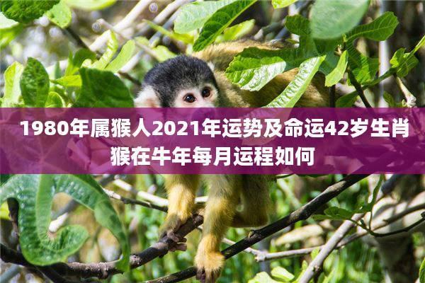 1980年出生的属猴人与命运的精彩故事 1980年出生的属猴人与命运的精彩故事