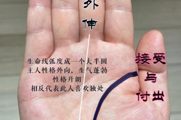 根据手上几道线解析命运:揭开掌纹秘密的面纱 根据手上几道线解析命运:揭开掌纹秘密的面纱