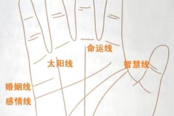 根据手上几道线解析命运:揭开掌纹秘密的面纱 根据手上几道线解析命运:揭开掌纹秘密的面纱