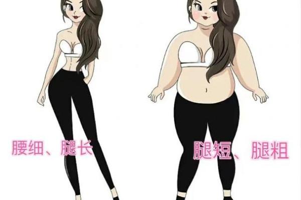 腿长腰短的人命运解析:身材与性格的奇妙关联 腿长腰短的人命运解析:身材与性格的奇妙关联
