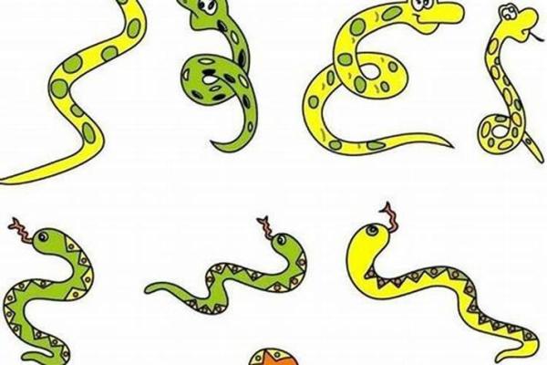 生肖命最短,揭秘生肖中命运最脆弱的动物! 生肖命最短,揭秘生肖中命运最脆弱的动物!