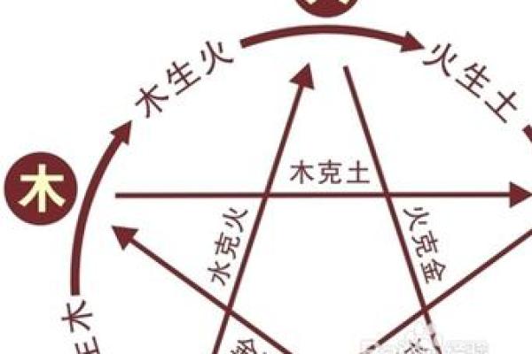 2005年出生宝宝命运分析:细说五行与运势的奇妙关系 2005年出生宝宝命运分析:细说五行与运势的奇妙关系