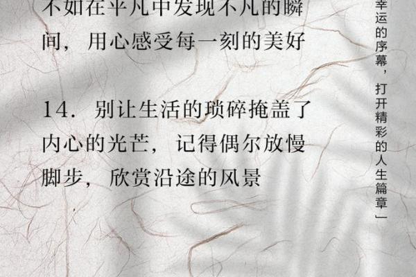 当命运的风帆起航,人生的旅程从此不再平凡 当命运的风帆起航,人生的旅程从此不再平凡