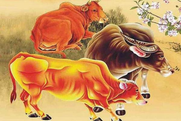 揭秘61年腊月出生的人命运与性格特征 揭秘61年腊月出生的人命运与性格特征