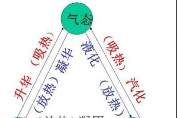 水中金命的神秘与魅力:探索水与金的完美结合 水中金命的神秘与魅力:探索水与金的完美结合