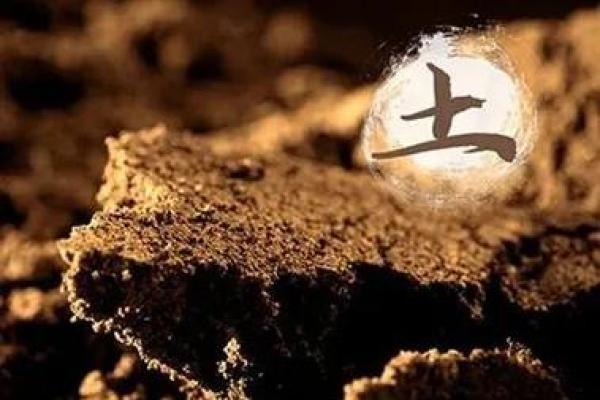 大林木命与白蜡金命的独特魅力与人生启示 大林木命与白蜡金命的独特魅力与人生启示