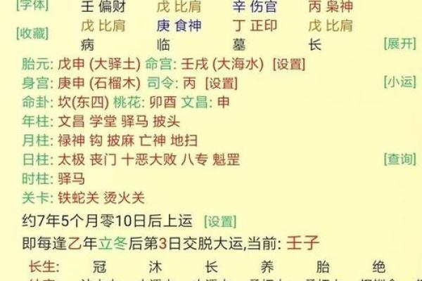 探索丁巳月丙戌日的命理秘密,揭示人生的精彩与选择 探索丁巳月丙戌日的命理秘密,揭示人生的精彩与选择