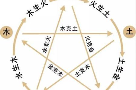 1996年出生的人命运解析：揭秘你的命格与人生