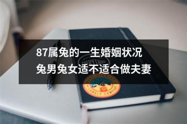 属兔1987年出生的人命忌讳解析及生活指导 属兔1987年出生的人命忌讳解析及生活指导