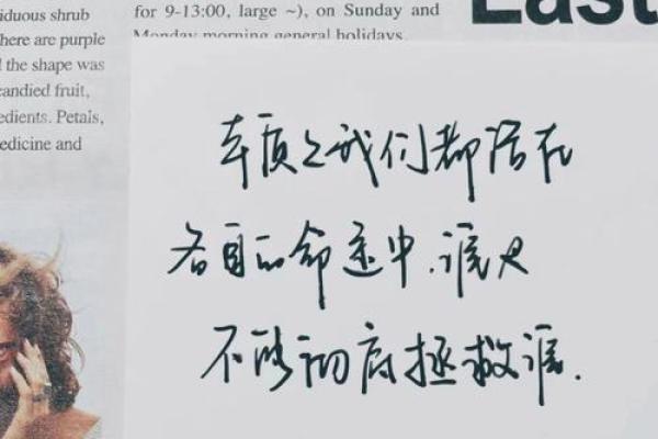 命格中的官命解析:揭开人生成功的秘密 命格中的官命解析:揭开人生成功的秘密