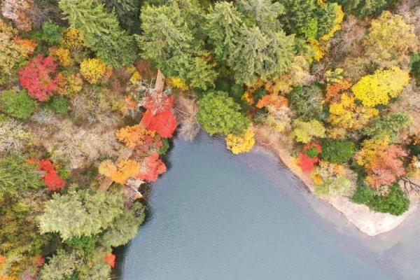 水命与颜色搭配:揭示生活中的和谐之美 水命与颜色搭配:揭示生活中的和谐之美