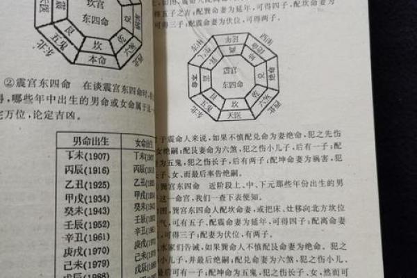 属虎坎命:东四命的独特魅力与人生启示 属虎坎命:东四命的独特魅力与人生启示