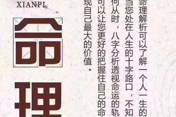 探秘命理:如何了解命与命之间的相和关系? 探秘命理:如何了解命与命之间的相和关系?