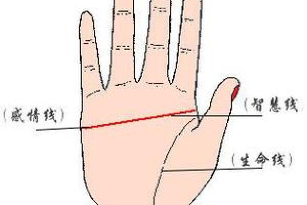 双手断掌纹的命运解读:揭开人生的神秘面纱 双手断掌纹的命运解读:揭开人生的神秘面纱