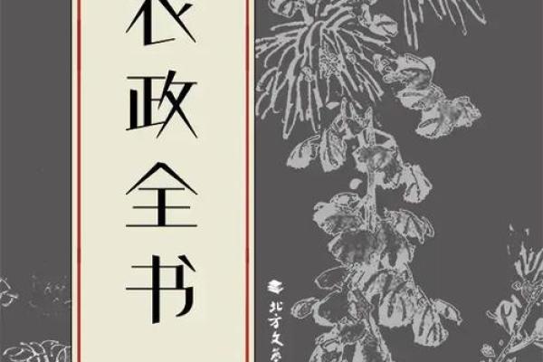 探寻命理学中的阴阳哲学:平衡与和谐的智慧之道 探寻命理学中的阴阳哲学:平衡与和谐的智慧之道