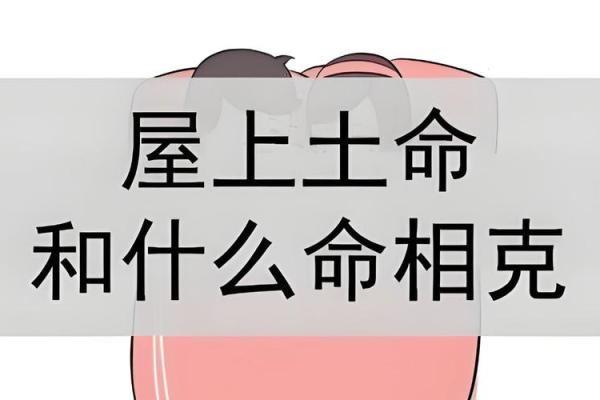 土命的羊与其他命格的最佳搭配分析 土命的羊与其他命格的最佳搭配分析