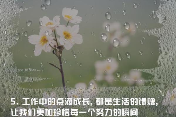 劳碌奔波的命运:在忙碌中寻找生活的真谛 劳碌奔波的命运:在忙碌中寻找生活的真谛