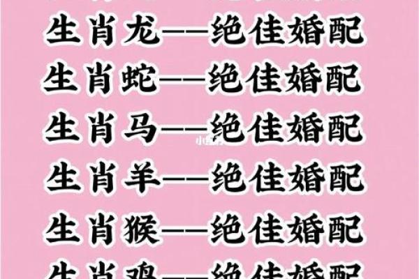58年狗年命运解析:十二生肖与财富运势的大揭秘 58年狗年命运解析:十二生肖与财富运势的大揭秘