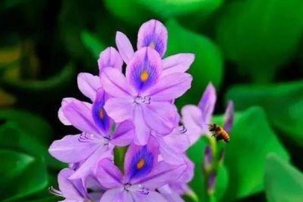 十月24日出生的命理解析:揭示性格与命运的魅力之旅 十月24日出生的命理解析:揭示性格与命运的魅力之旅