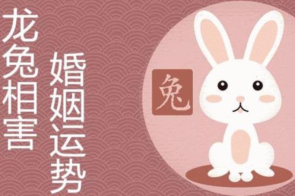 88年命人适合从事哪些工作呢?职业选择与命理分析! 88年命人适合从事哪些工作呢?职业选择与命理分析!