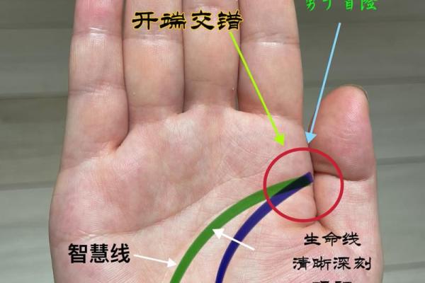 手很短很粗的人命运如何?解密手相的深层含义 手很短很粗的人命运如何?解密手相的深层含义