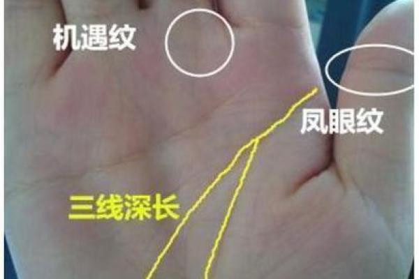 手很短很粗的人命运如何?解密手相的深层含义 手很短很粗的人命运如何?解密手相的深层含义