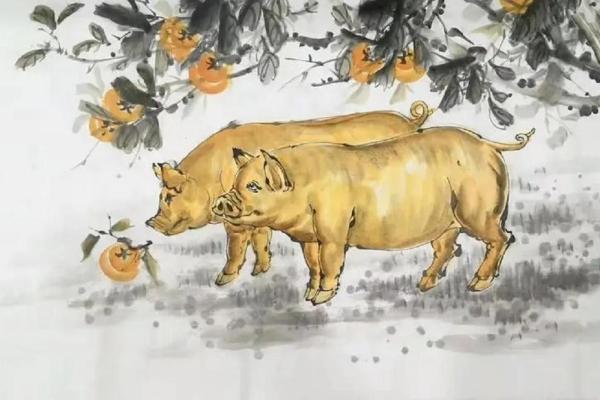 12岁属猪的命运解析:如何引导未来发展与幸福人生 12岁属猪的命运解析:如何引导未来发展与幸福人生