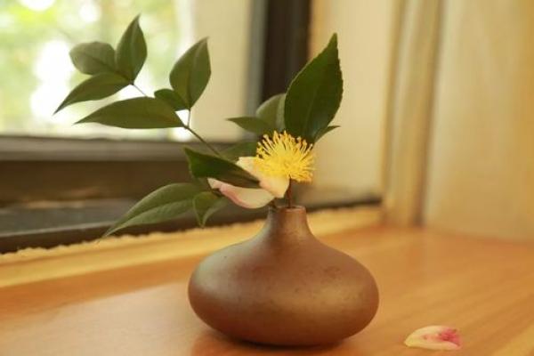 漂亮女人的命格与命运:美丽背后的深意 漂亮女人的命格与命运:美丽背后的深意