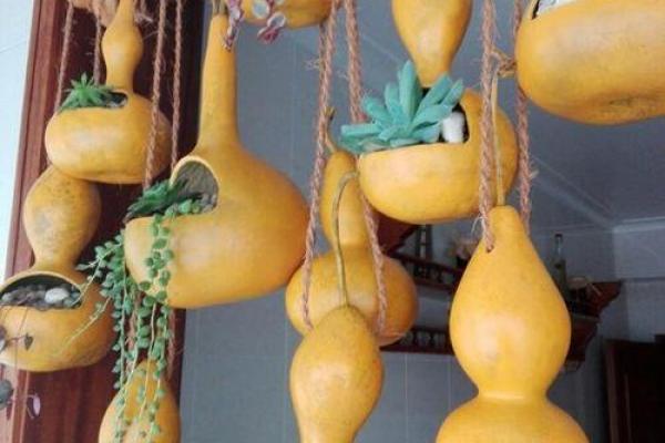 大林木命:如何选择适合的葫芦,让你的生活更加顺畅 大林木命:如何选择适合的葫芦,让你的生活更加顺畅