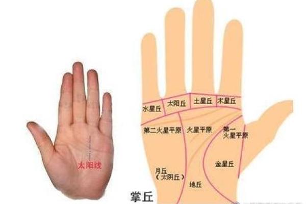 男人手粗大究竟代表什么命运?揭秘手相与人生的秘密! 男人手粗大究竟代表什么命运?揭秘手相与人生的秘密!