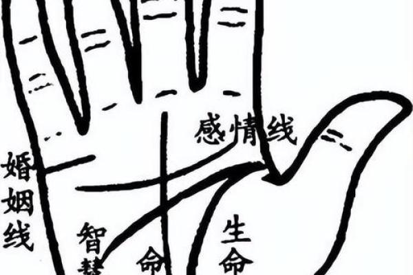 男人手粗大究竟代表什么命运?揭秘手相与人生的秘密! 男人手粗大究竟代表什么命运?揭秘手相与人生的秘密!