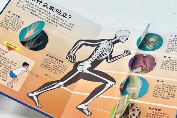 双肩窄的人究竟是什么命运?破解身体特征与命运的关系 双肩窄的人究竟是什么命运?破解身体特征与命运的关系