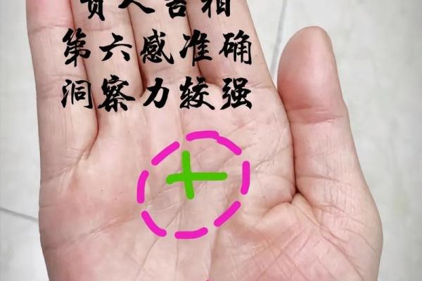 探秘掌纹:深掌纹的人命运何去何从? 探秘掌纹:深掌纹的人命运何去何从?