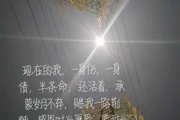 你是我的半条命:探寻心灵深处的寄托与依赖 你是我的半条命:探寻心灵深处的寄托与依赖