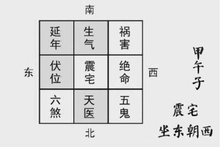 金命人士养鱼的最佳位置与风水布局解析