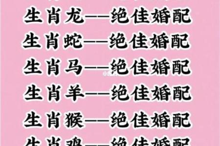 58年狗年命运解析：十二生肖与财富运势的大揭秘