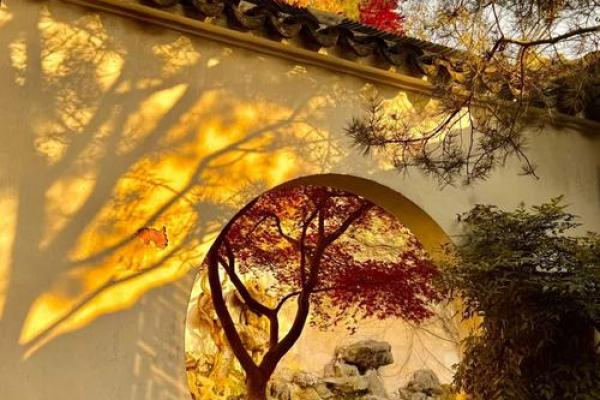 独处之美:揭示命格与内心宁静的深刻联系 独处之美:揭示命格与内心宁静的深刻联系