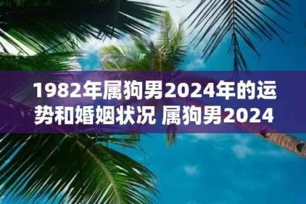 1982年属狗人的命运与人生探秘:揭示属狗人的特质与运势 1982年属狗人的命运与人生探秘:揭示属狗人的特质与运势