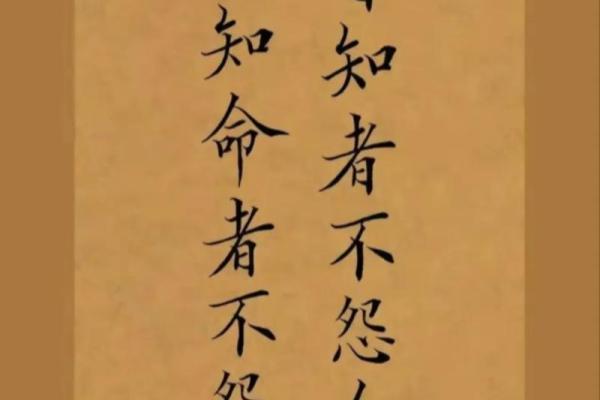 法律的公正之路:为什么“一命偿一命”不是解决之道 法律的公正之路:为什么“一命偿一命”不是解决之道