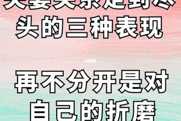 解读离命与离命之间的婚姻关系:爱与自我的平衡之旅 解读离命与离命之间的婚姻关系:爱与自我的平衡之旅